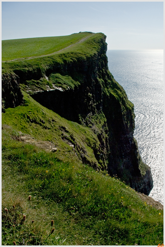Burren - Cliffs of Moher  800_IGP3215