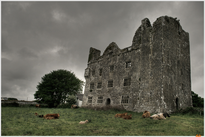 Burren - Leamaneh castle  800_IGP3547