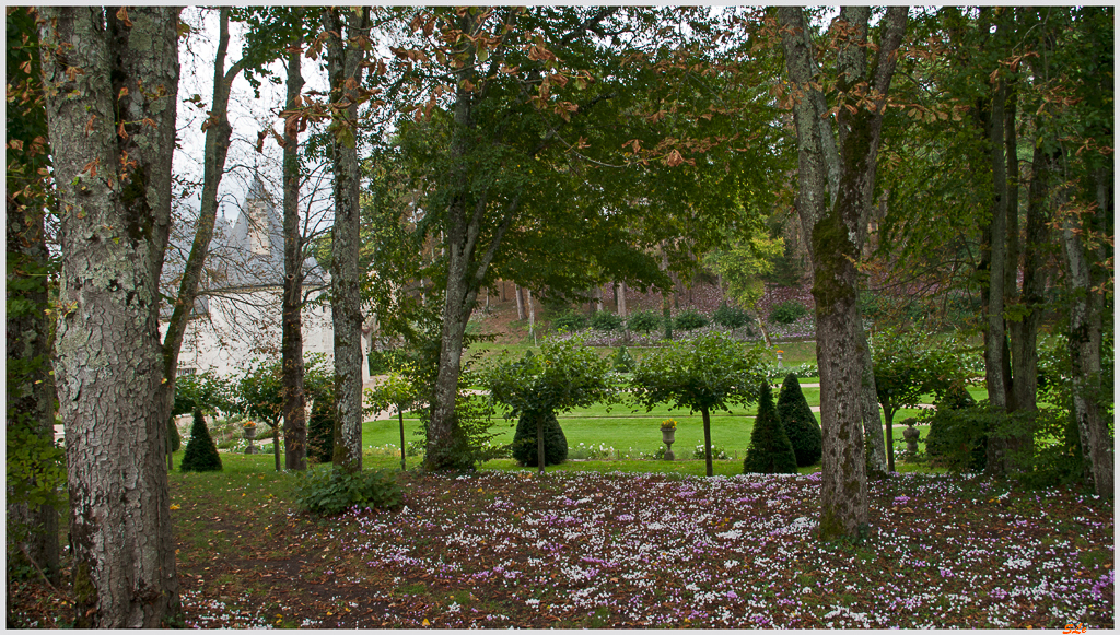 Jardin de la Chatonnière ( 800_IGP5999 )