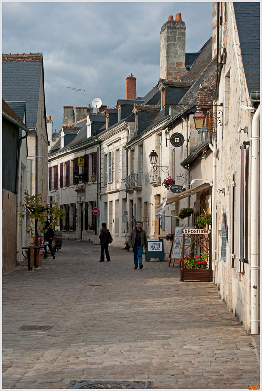 Azay-Le-Rideau ( 800_IGP6108 )