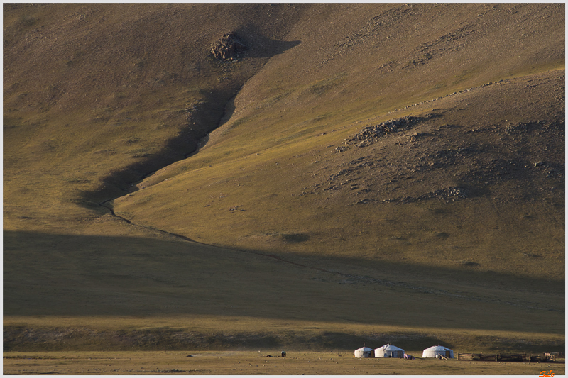 Parc de Khokh Nuur - Camp Nomade ( IMGP0846 )