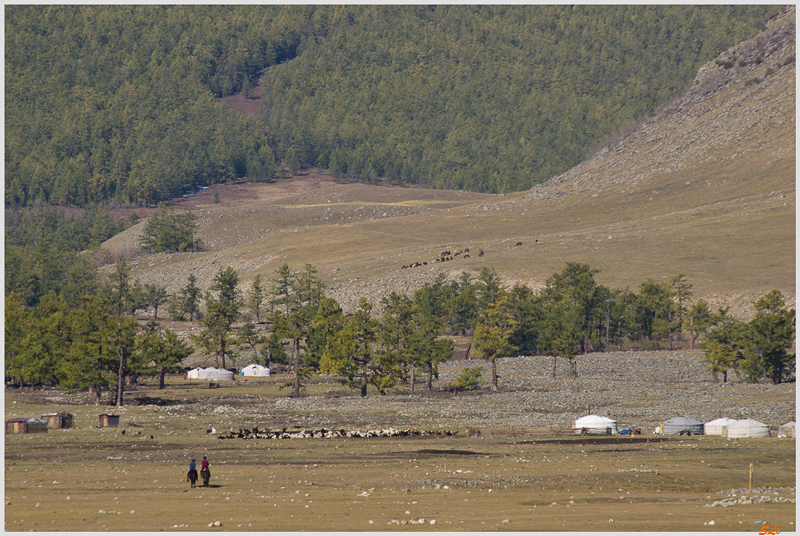 Parc de Khokh Nuur - Camp Nomade ( IMGP0956 )