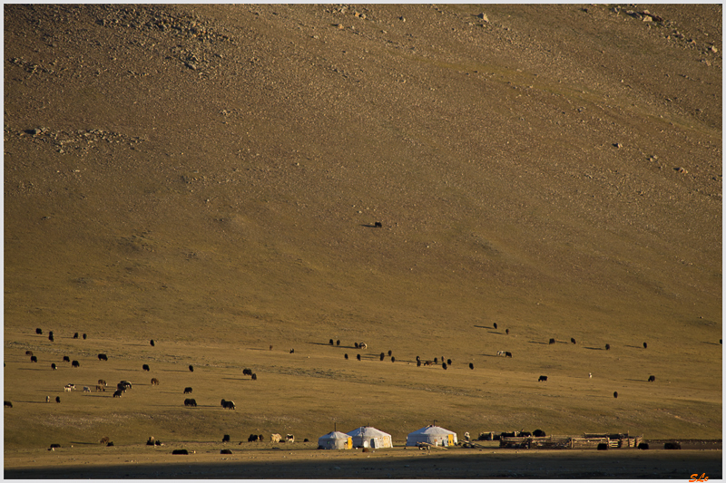 Parc de Khokh Nuur - Camp de Nomade ( IMGP1161 )