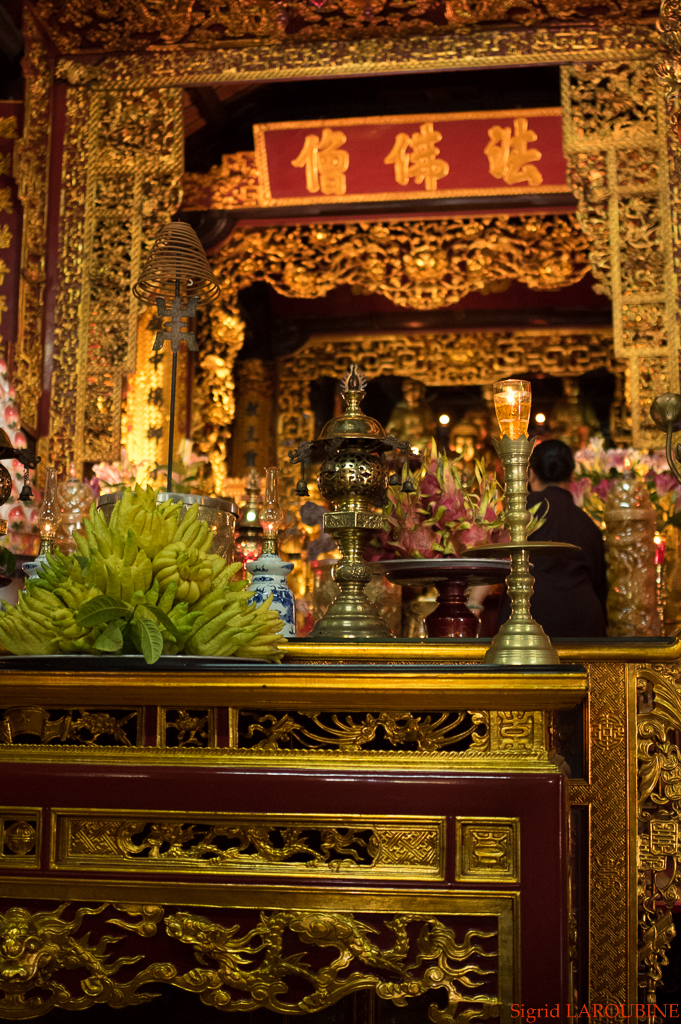 pagode Trấn Quốc ( _IMG4266 )