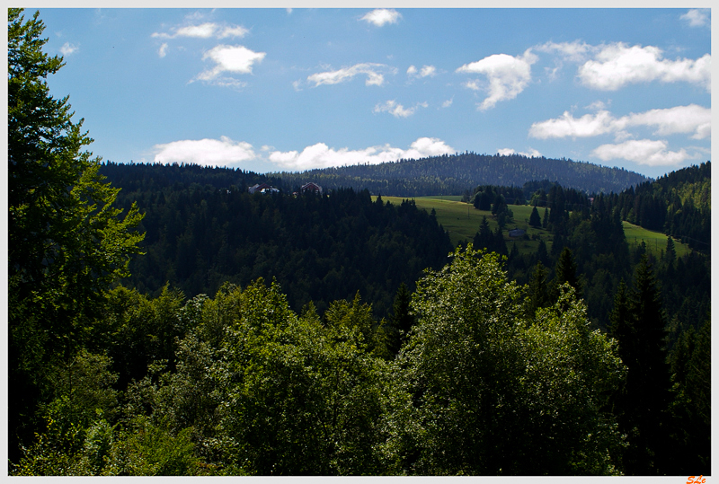   800_IMGP0006