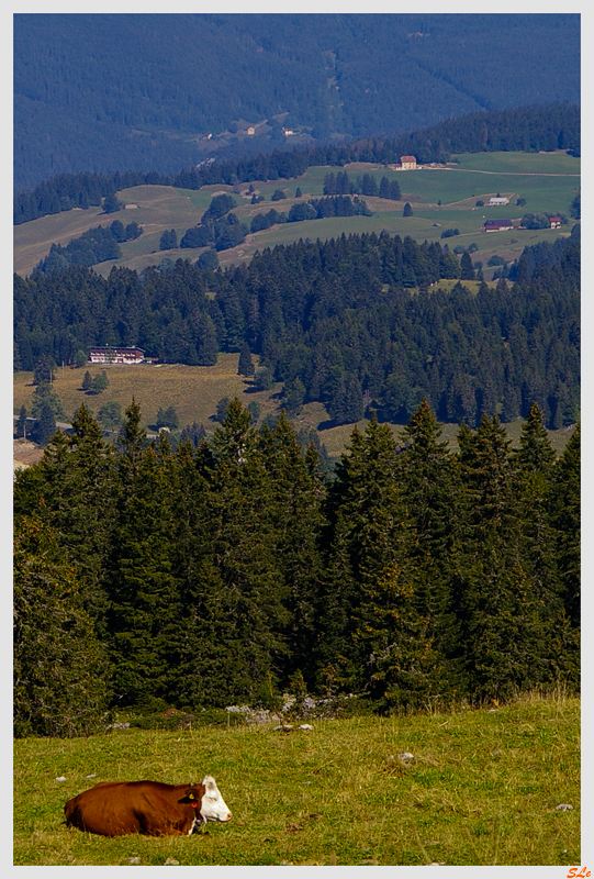   800_IMGP0067