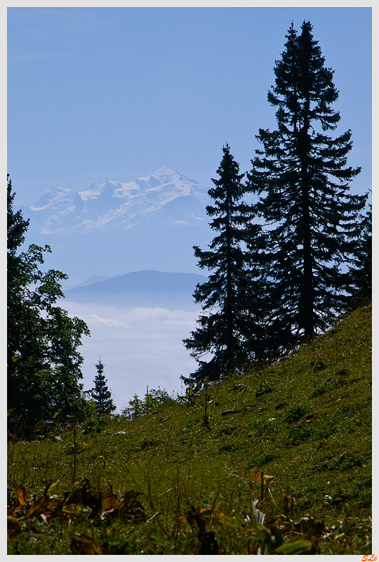   800_IMGP0088