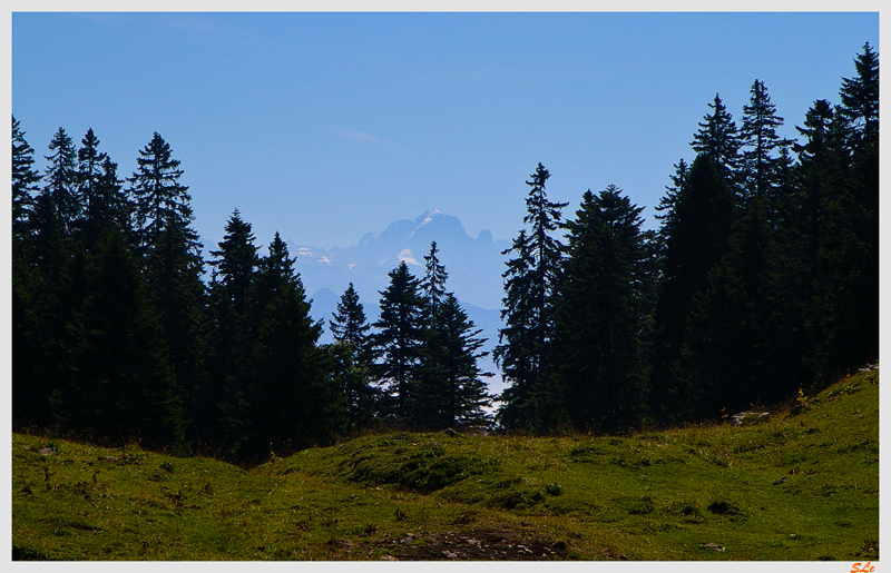   800_IMGP0092