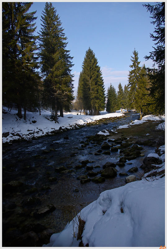   800_IMGP0825