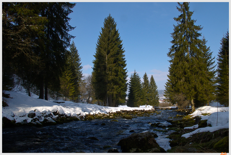   800_IMGP0832