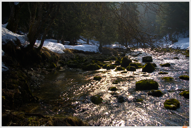   800_IMGP0844
