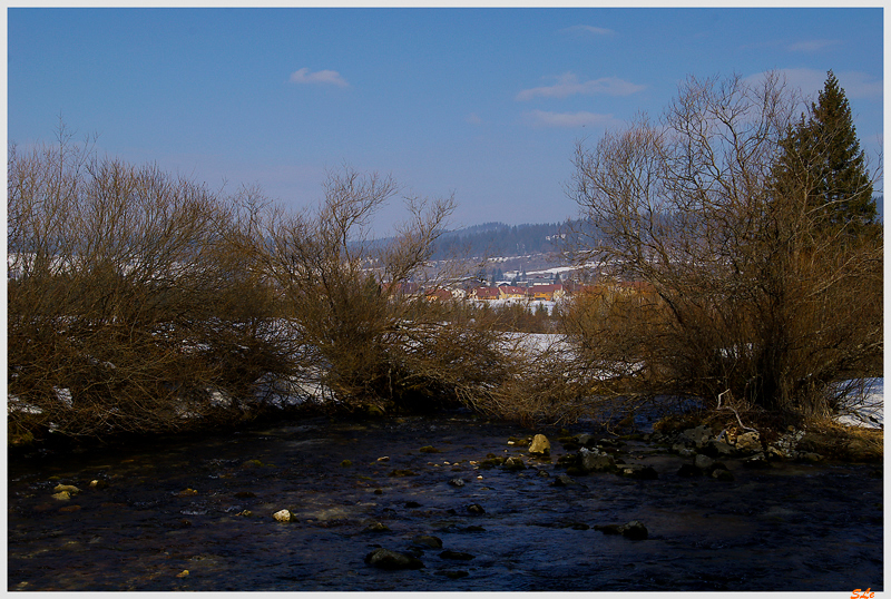   800_IMGP0846