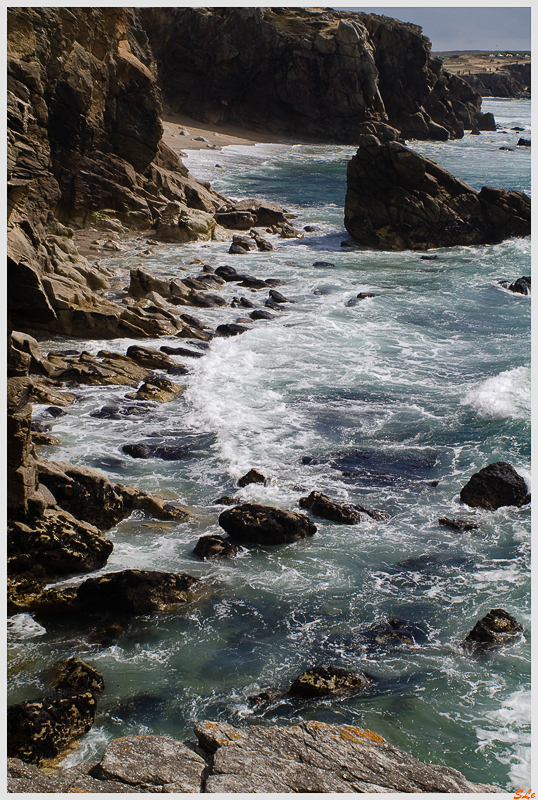  ( 800_IMGP0969 )