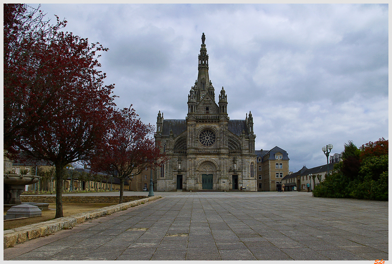  ( 800_IMGP0991 )