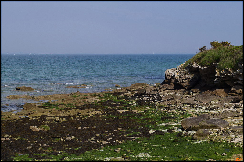  ( 800_IMGP1064 )