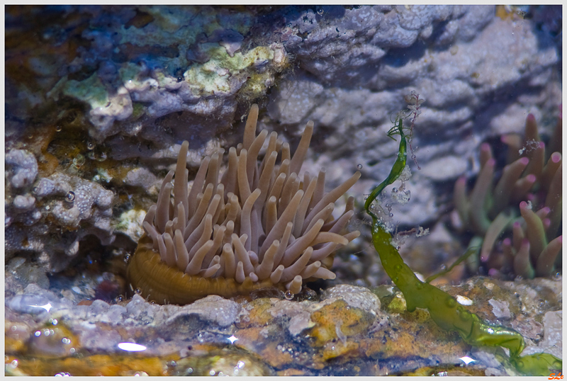  ( 800_IMGP1087 )