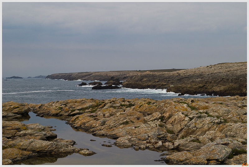  ( 800_IMGP1123 )