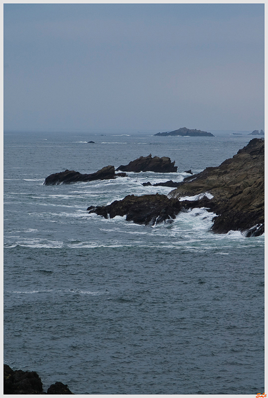  ( 800_IMGP1126 )
