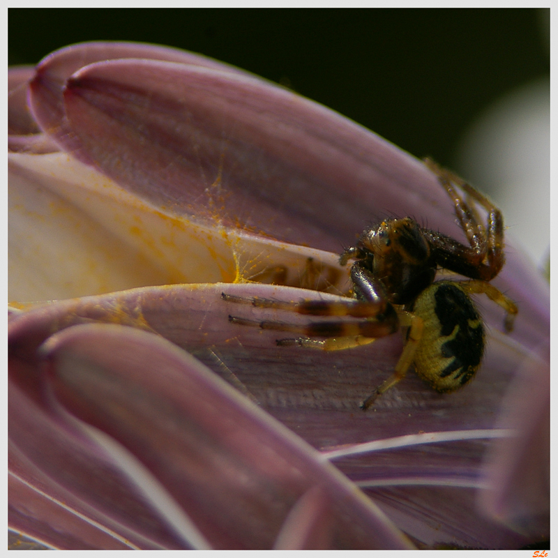  ( 800_IMGP1284 )