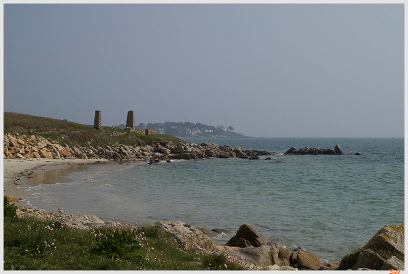  800_IMGP9583