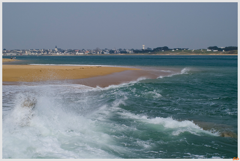   800_IMGP9635