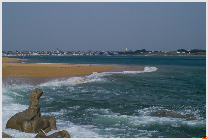   800_IMGP9636