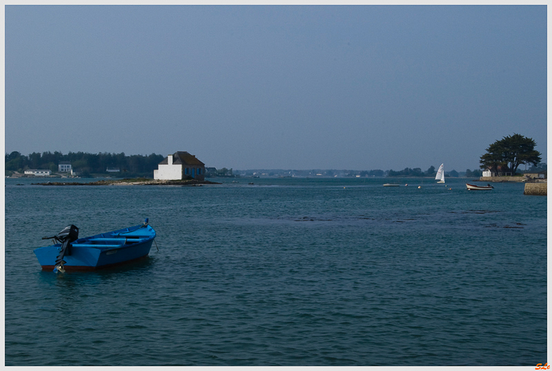   800_IMGP9653