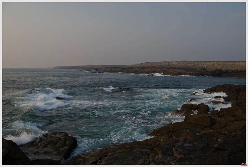   800_IMGP9680