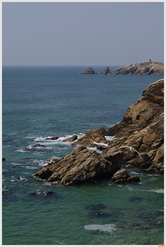   800_IMGP9717