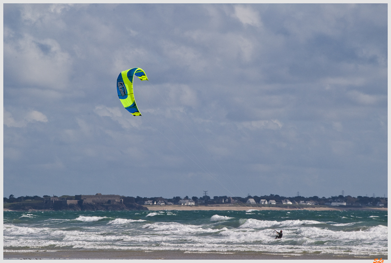   800_IMGP1039