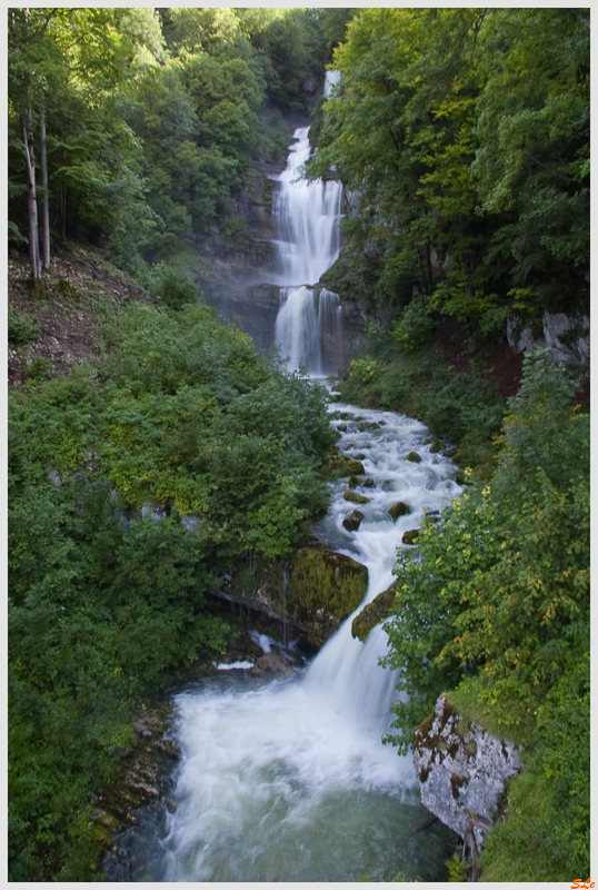   800_IMGP2300