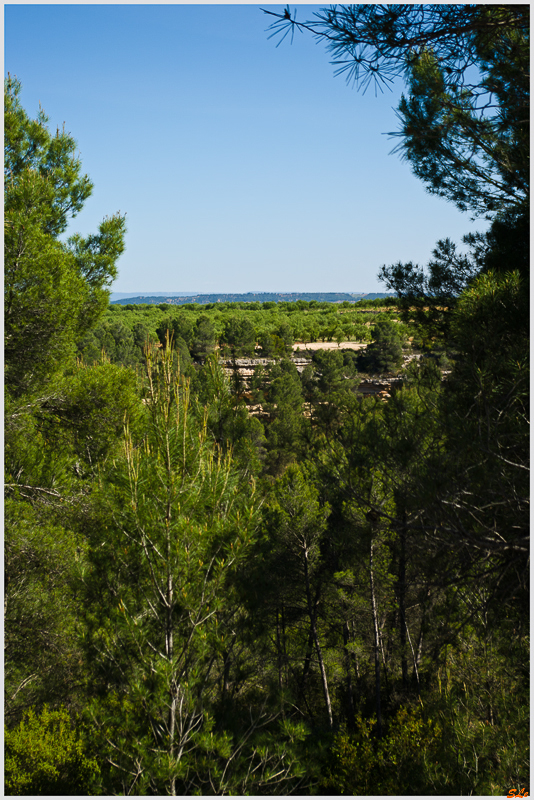 Villalpardo ( _IGP4618 )