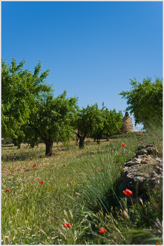 Villalpardo ( _IGP4620 )