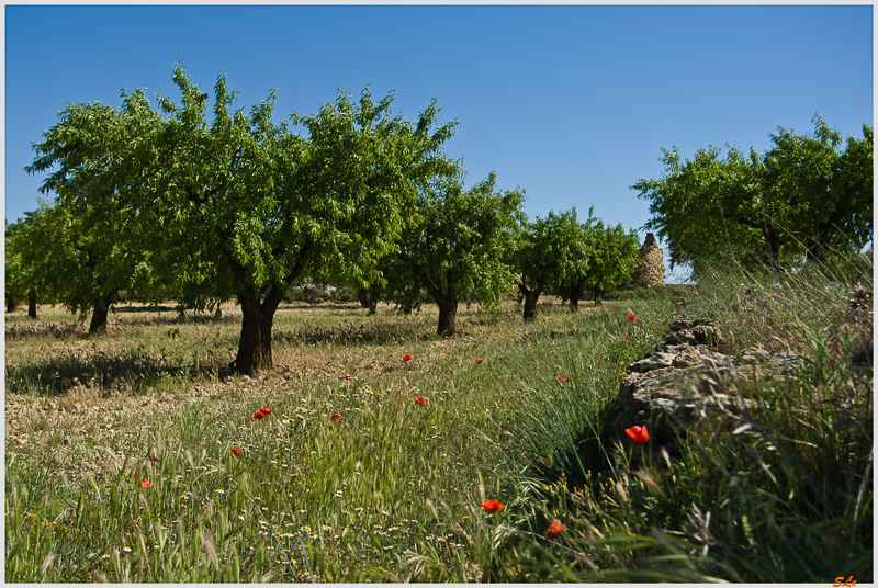 Villalpardo ( _IGP4621 )