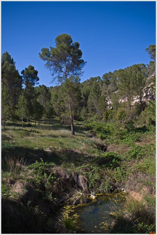 Villalpardo ( _IGP4635 )