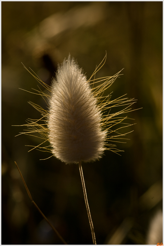 Le Pouldu  800_IGP7728