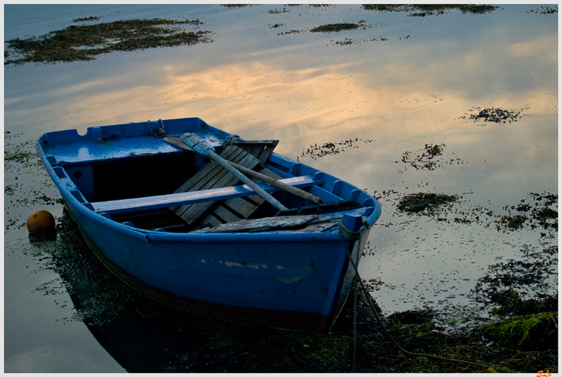 St Cado  800_IGP7815
