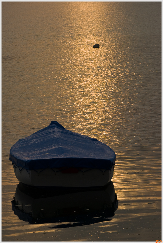 St Cado  800_IGP7838