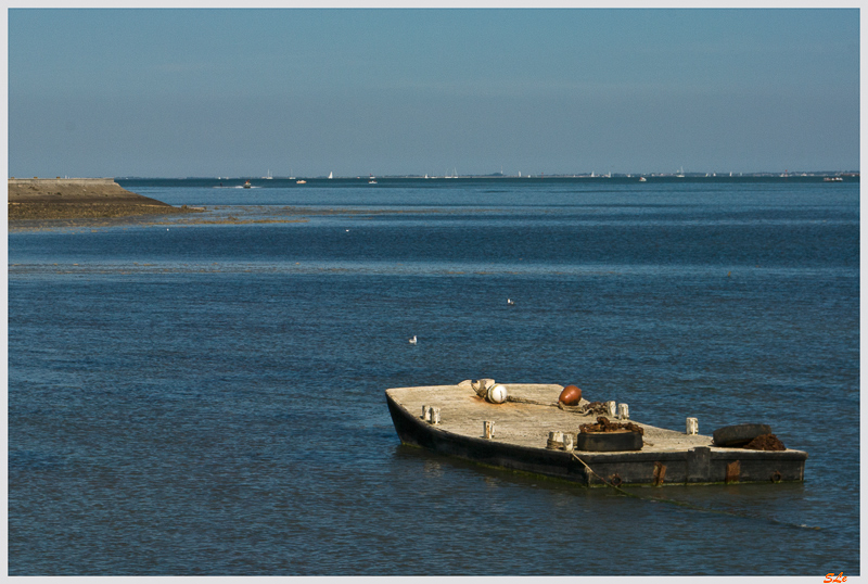 Loix ( _IGP8959 )
