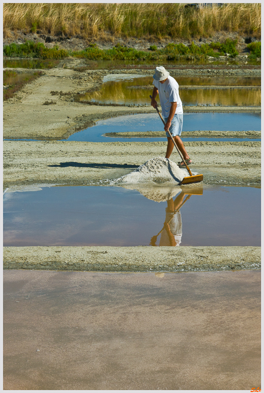 Les marais ( _IGP9156 )