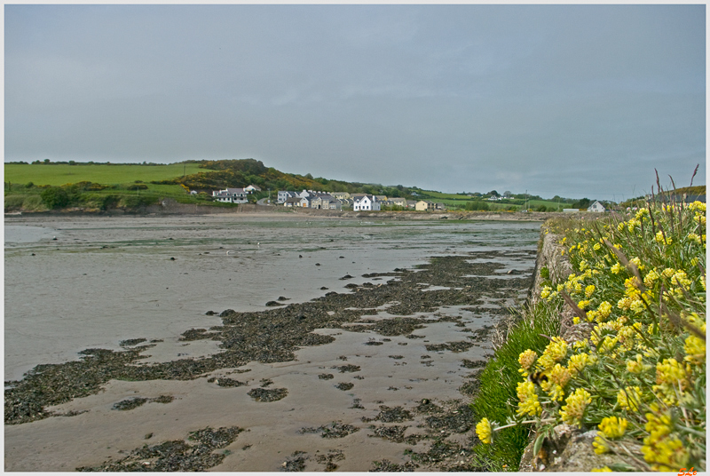 Ring of Hook - Arthurstown  800_IGP2786