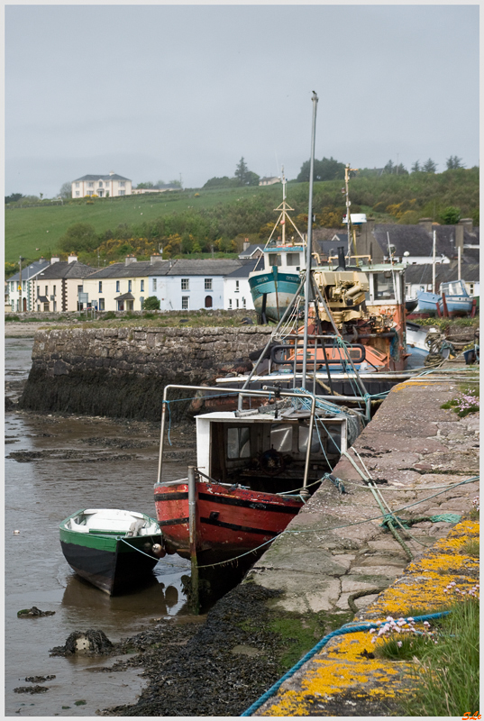 Ring of Hook - Arthurstown  800_IGP2789