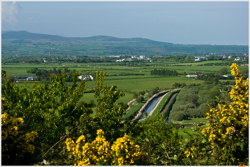 Co Waterford - N25 Dungarvan  800_IGP2798