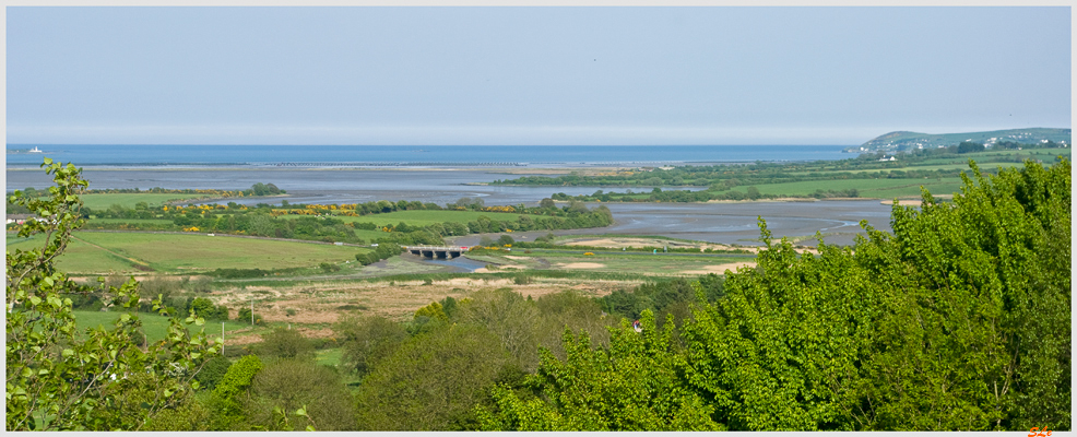 Co Waterford - N25 Dungarvan  800_IGP2799