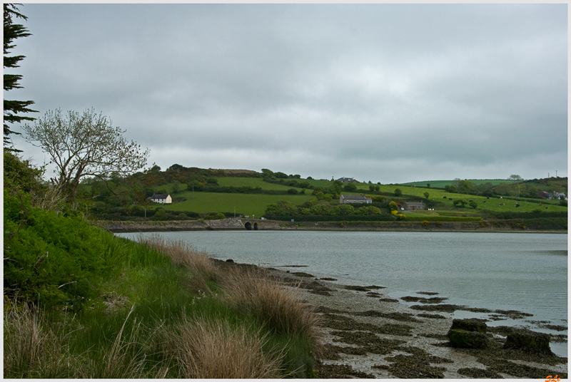 Co Cork - Ballinspittle bay  800_IGP2820