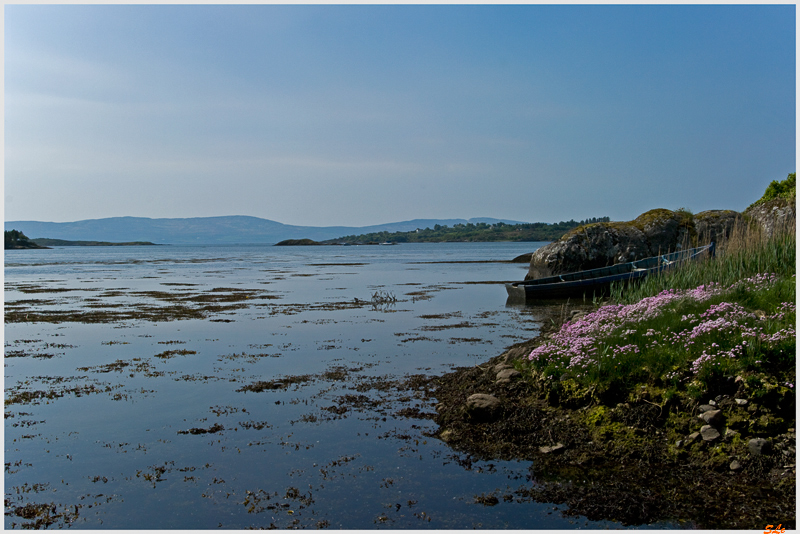 Ring of Beara - Adrigole  800_IGP2855