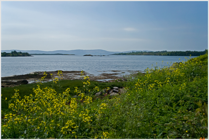 Ring of Beara - Adrigole  800_IGP2856