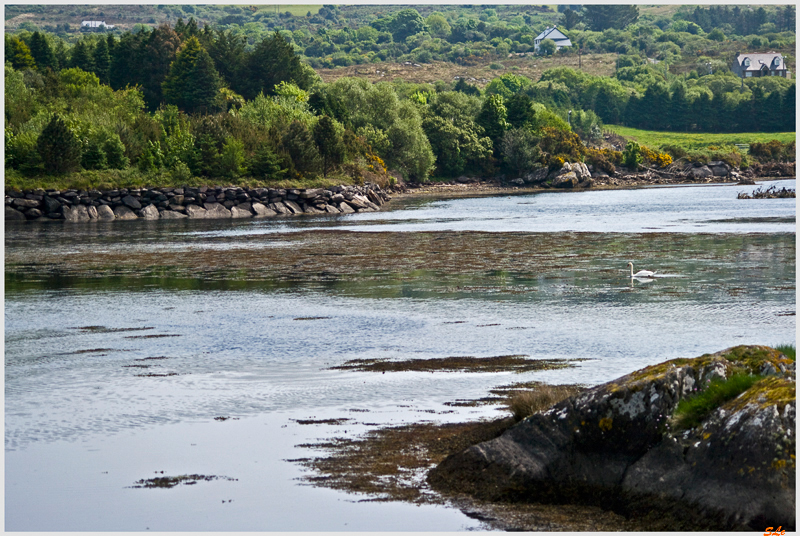 Ring of Beara - Adrigole  800_IGP2858