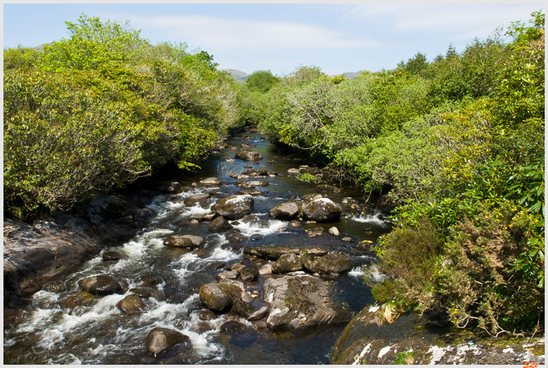 Ring of Beara - Adrigole  800_IGP2868