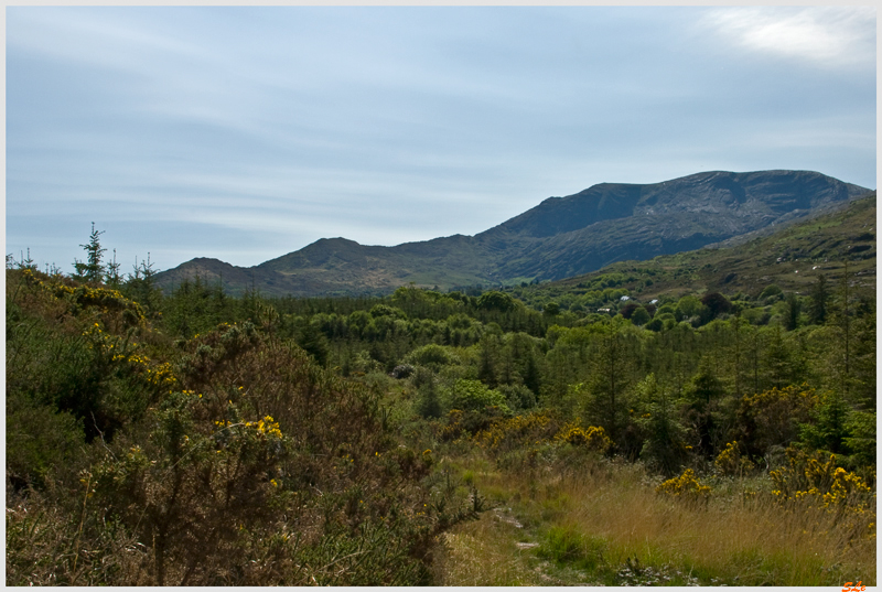 Ring of Beara - Adrigole  800_IGP2882